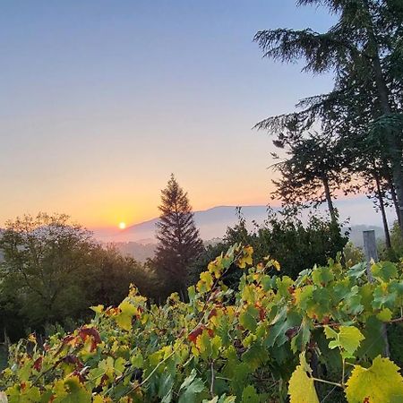 "Il Casaletto" Agriturismo Moderno, Vista Panoramica E Cibo Spettacolare- Scurcola Marsicanaヴィラ エクステリア 写真