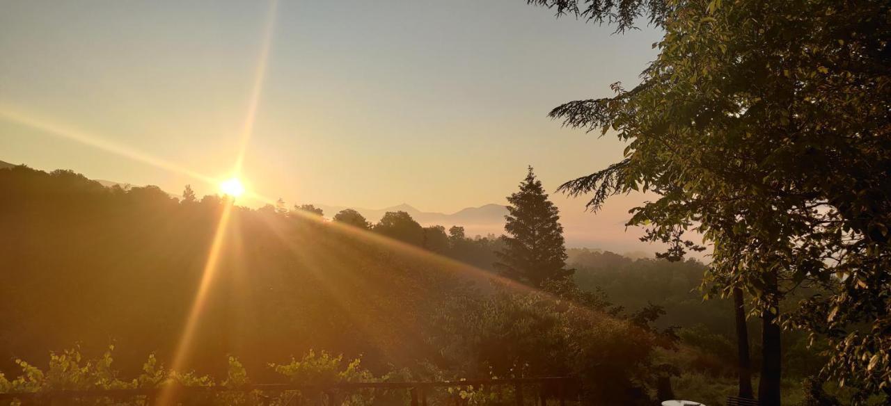 "Il Casaletto" Agriturismo Moderno, Vista Panoramica E Cibo Spettacolare- Scurcola Marsicanaヴィラ エクステリア 写真