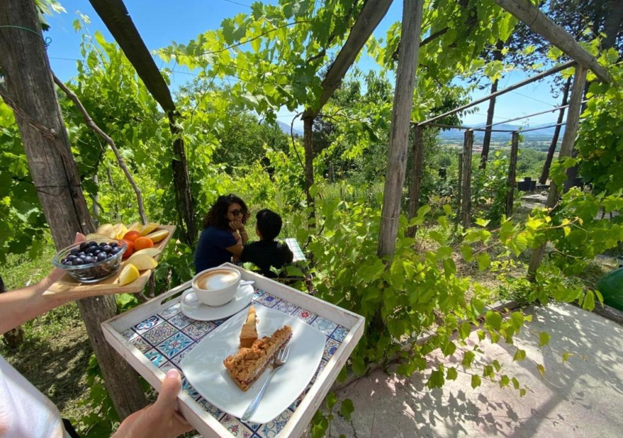 "Il Casaletto" Agriturismo Moderno, Vista Panoramica E Cibo Spettacolare- Scurcola Marsicanaヴィラ エクステリア 写真