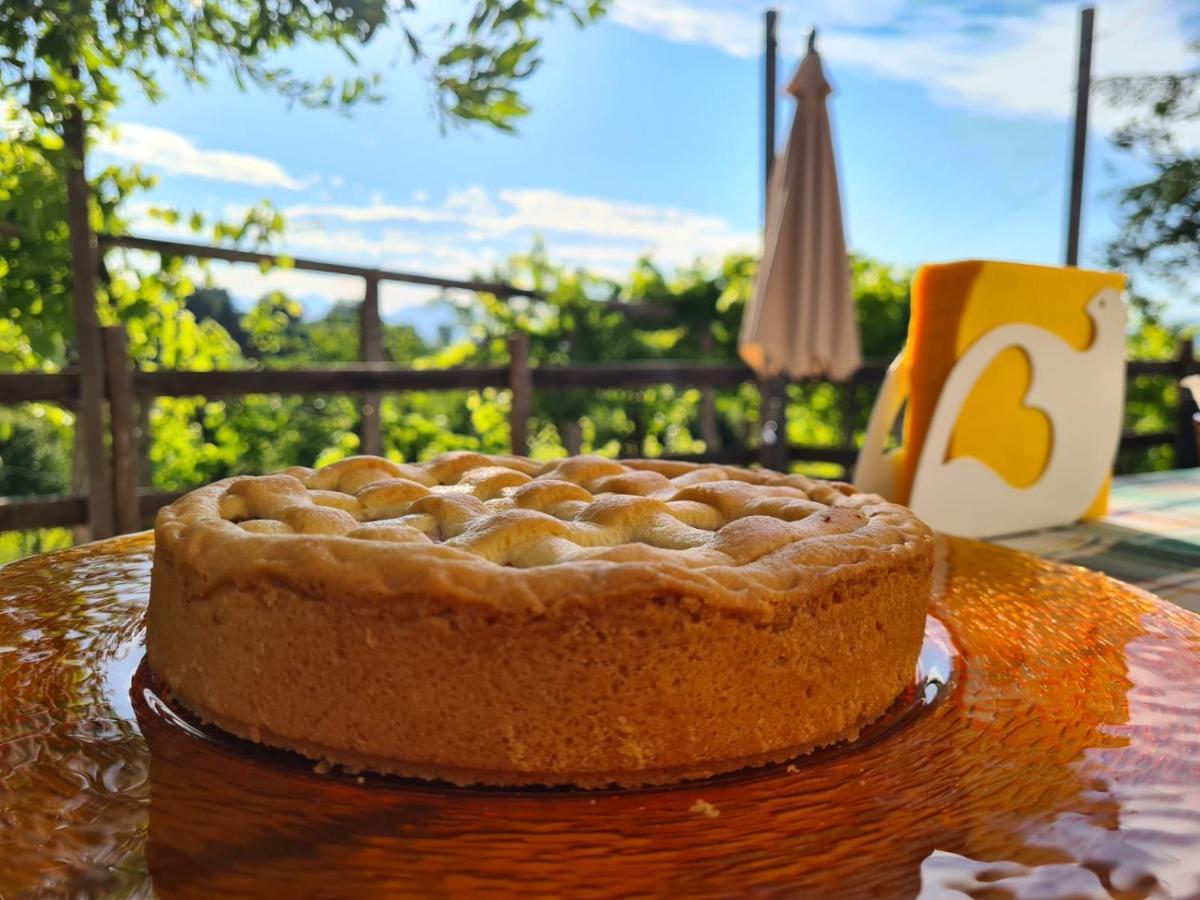 "Il Casaletto" Agriturismo Moderno, Vista Panoramica E Cibo Spettacolare- Scurcola Marsicanaヴィラ エクステリア 写真