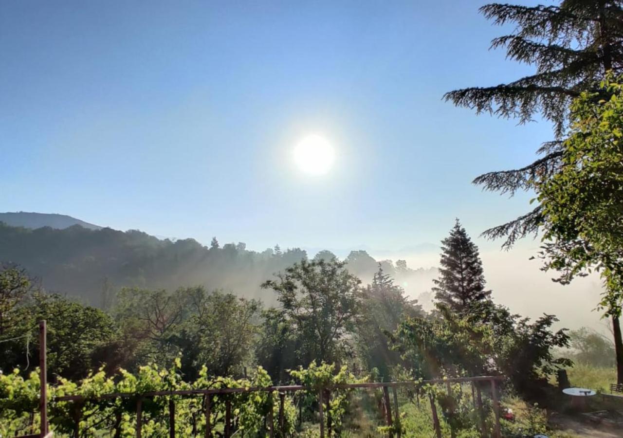 "Il Casaletto" Agriturismo Moderno, Vista Panoramica E Cibo Spettacolare- Scurcola Marsicanaヴィラ エクステリア 写真