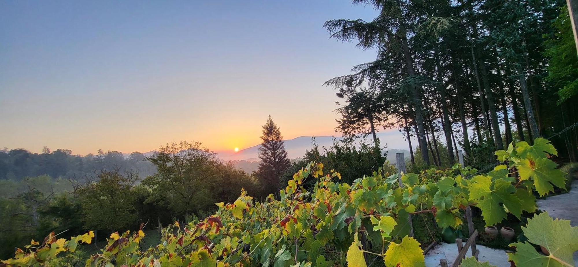 "Il Casaletto" Agriturismo Moderno, Vista Panoramica E Cibo Spettacolare- Scurcola Marsicanaヴィラ エクステリア 写真