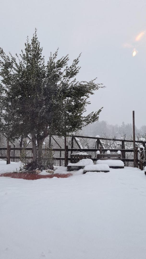 "Il Casaletto" Agriturismo Moderno, Vista Panoramica E Cibo Spettacolare- Scurcola Marsicanaヴィラ エクステリア 写真